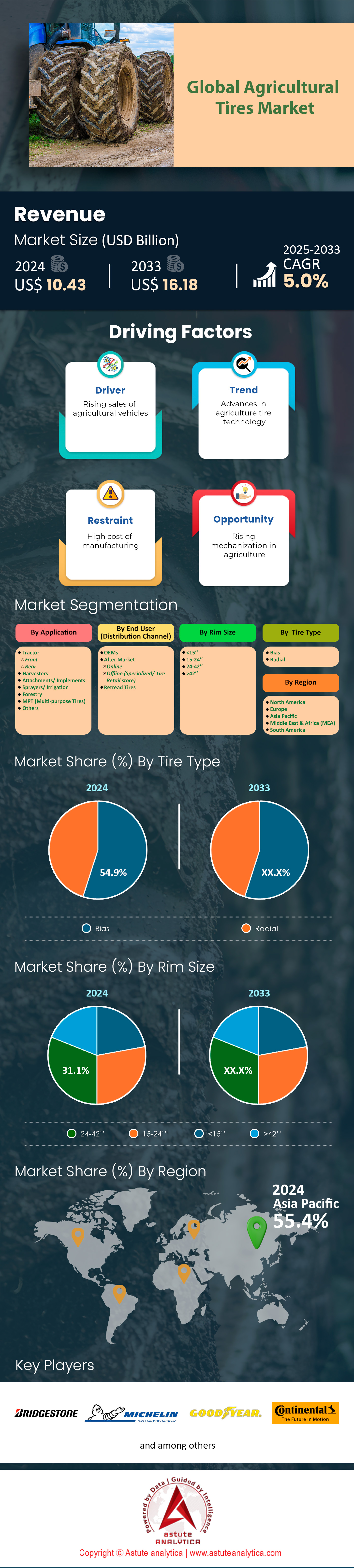 Agricultural Tires Market
